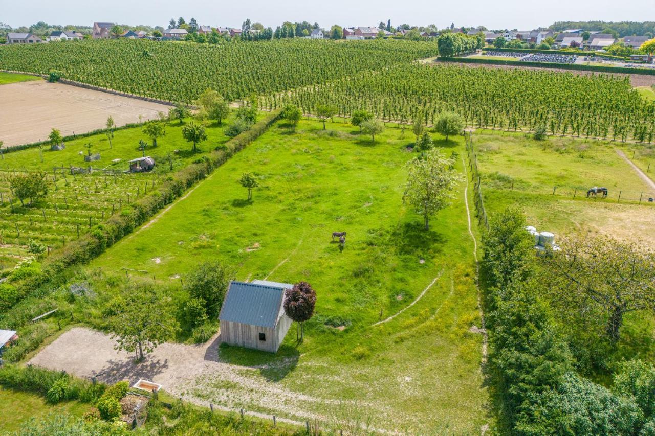 Unique Hideaway, House With Large Garden Kortenaken